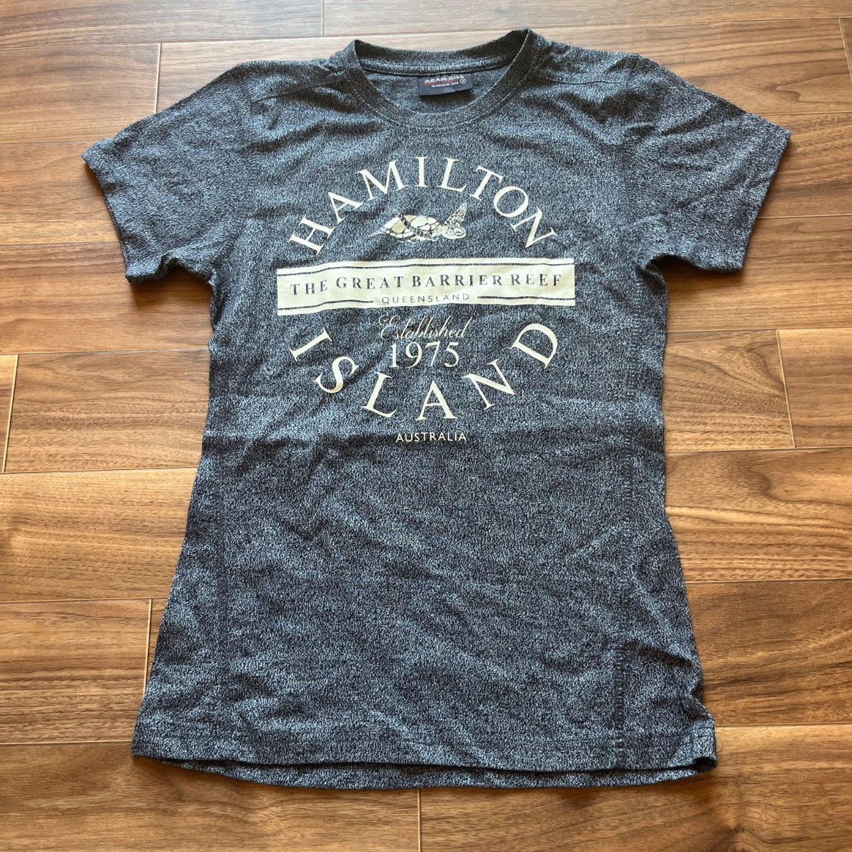 ADAM HILL Tシャツ グレー M ハミルトン島 ウミガメ オーストラリア